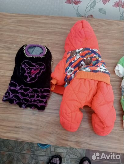 Одежда для маленьких собак