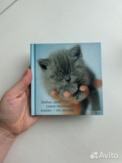 Книга с фотографиями кошек Рэчел Хейл