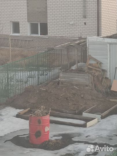 Куриный помёт