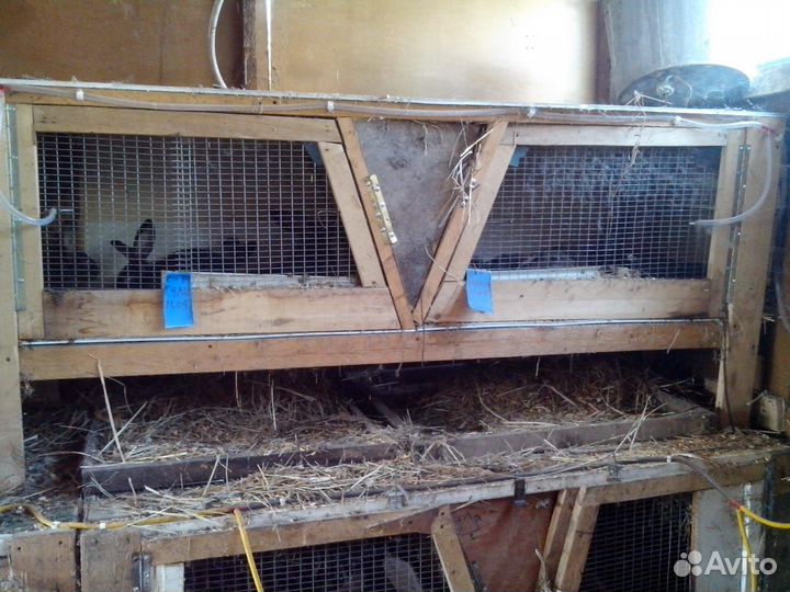 Клетки для кроликов новые и б/у
