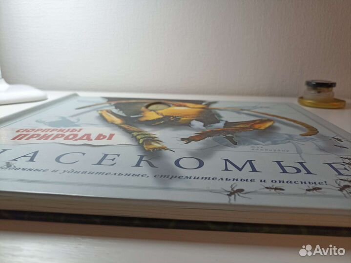 Насекомые книга