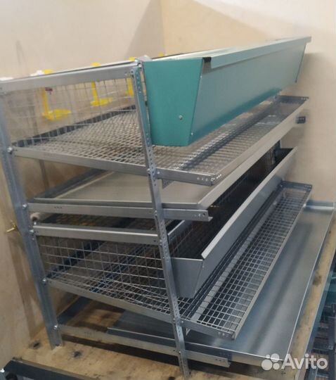 Клетки для содержания перепелов