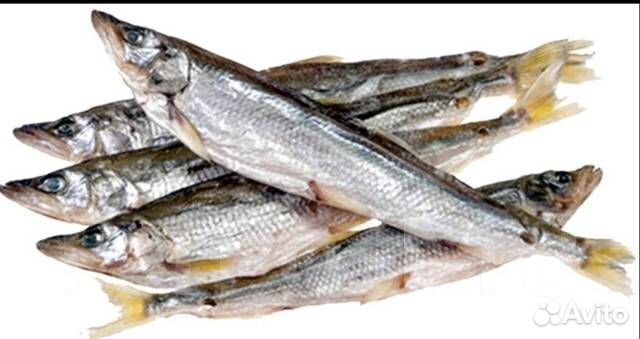 Вяленая корюшка зубатка дальневосточная
