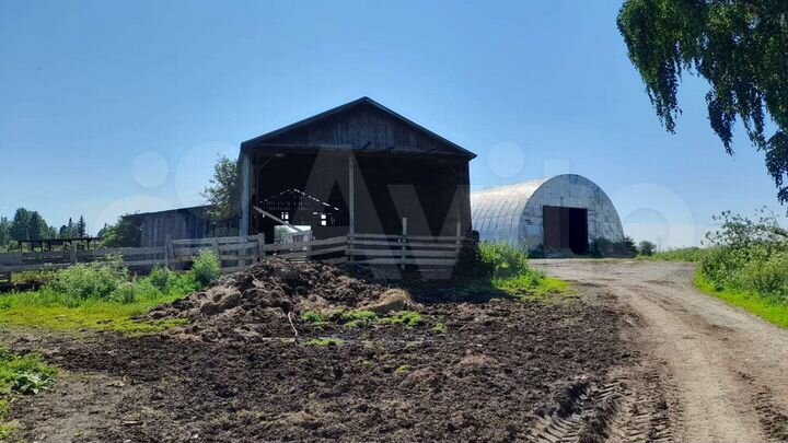 Участок 1,7 га (СНТ, ДНП)