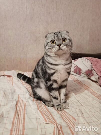 Предлагаю для вязки