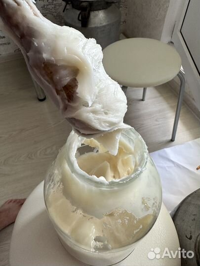 Мед белый с бесплатной доставкой