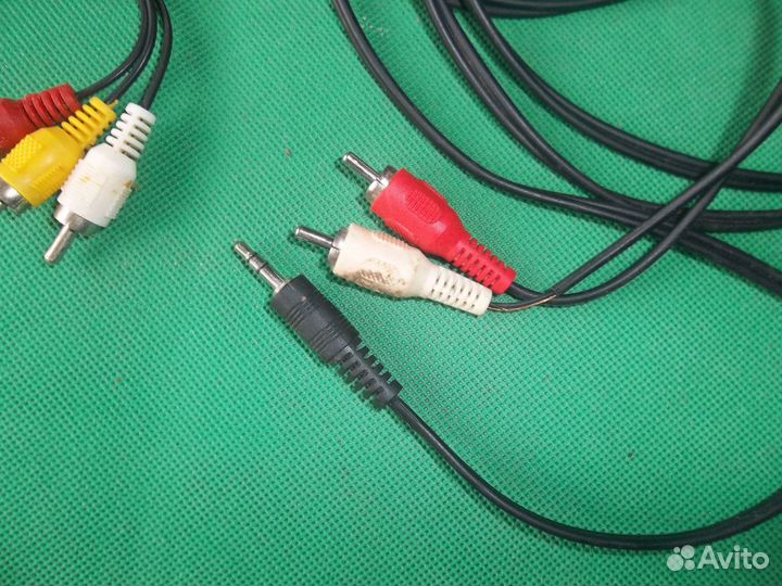 Тюльпаны провода