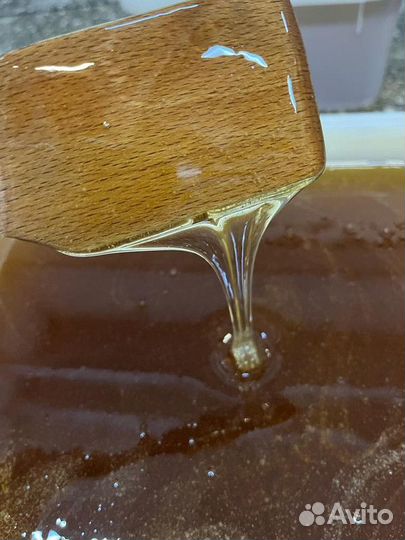 Свежий мёд оптом. Разнотравье светлое