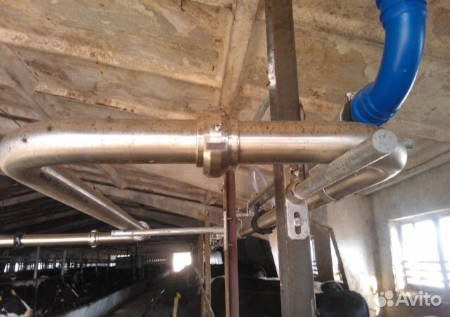 Доильные аппараты и молокопровод