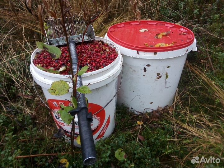 Гостевой дом для рыбаков, охотников в Карелии