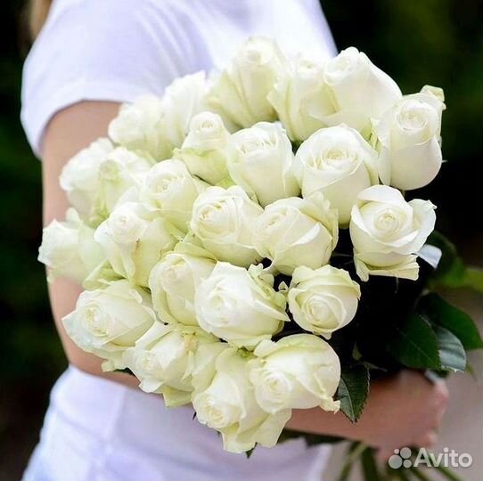 101 Роза Цветы Букеты 51 25 Роз Доставка