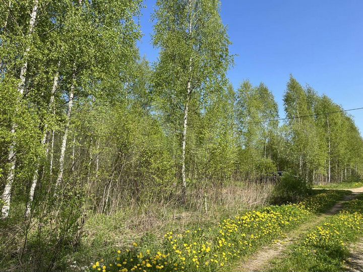 Участок 15 сот. (СНТ, ДНП)