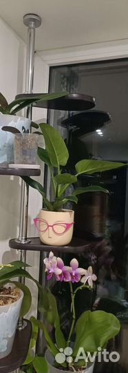 Полка для цветов на окно/распорная