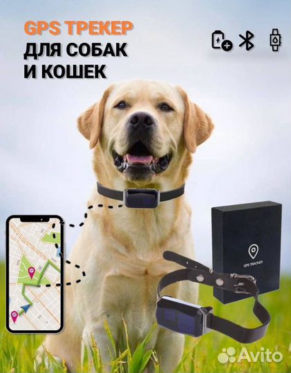 GPS трекер для животных. Цена производителя