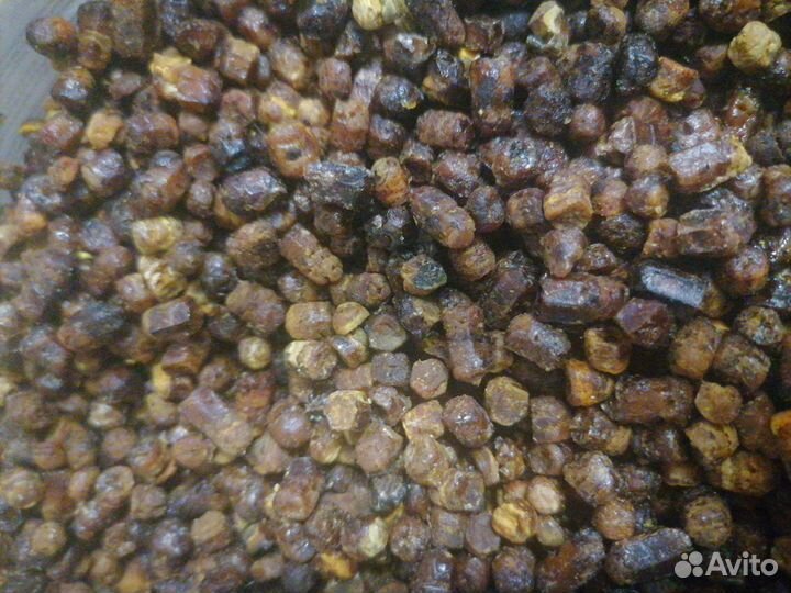 Перга пчелиная