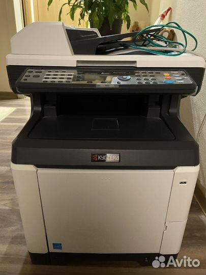 Мфу Kyocera ecosyc M 6026 cdn