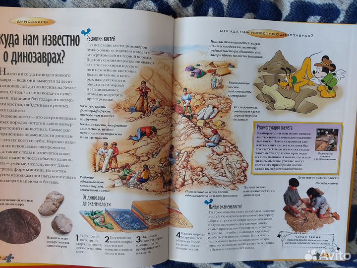 Коллекция энциклопедии для детей