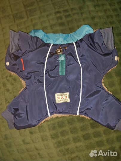 Комбинезон для маленькой собаки