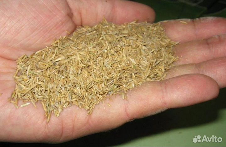 Смесь для заготовки кормов