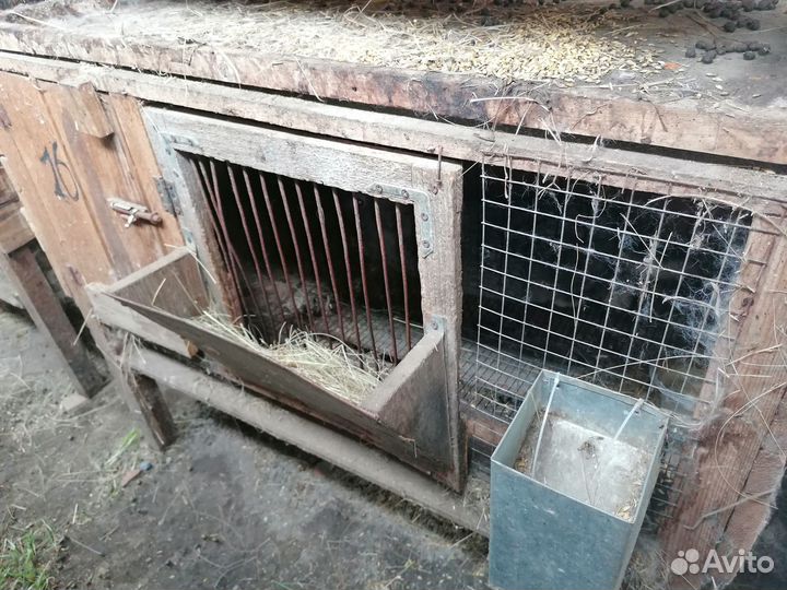 Клетка для кролика