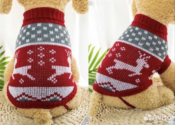 Одежда для собак мелких пород
