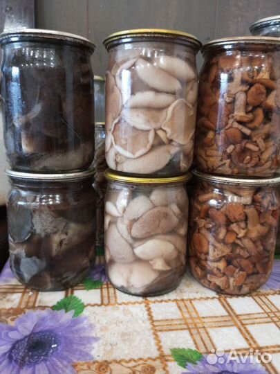 Грибы маринованные и соленые