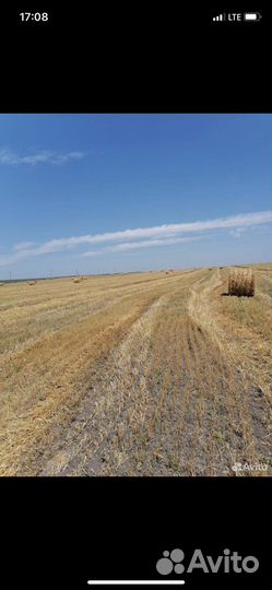 Солома в рулонах 2023