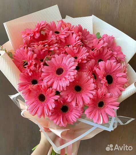 Герберы с Доставкой по городу. Свежие Герберы