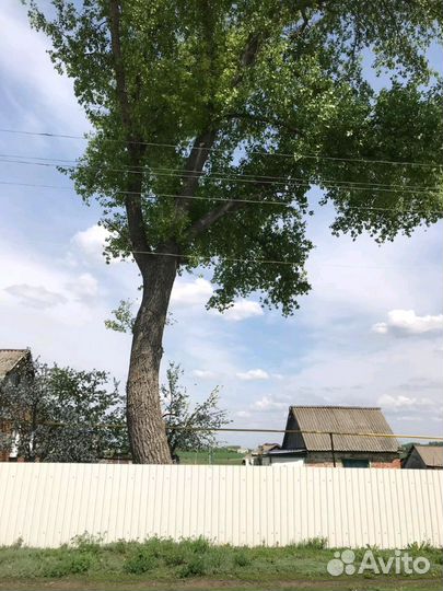 Спиливание(Спил) деревьев.Расчистка участка