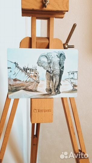 Набор открыток с животными