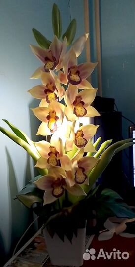 Цветы-светильники