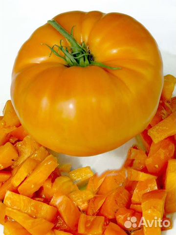 Рассада коллекционных томатов