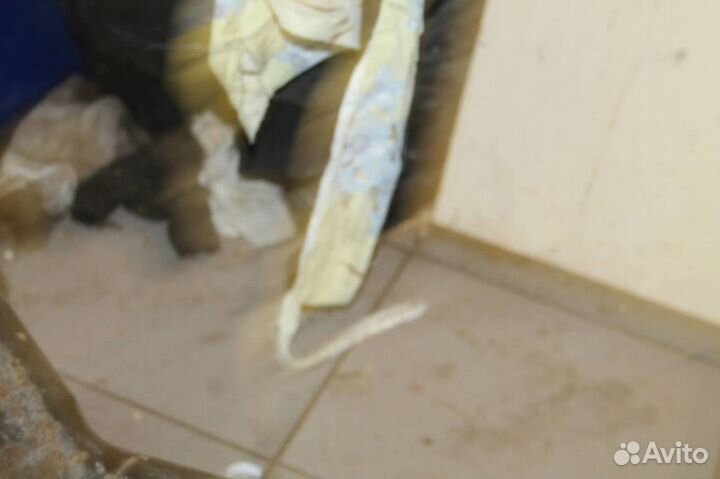 Подрамник задний Nissan X-Trail T30