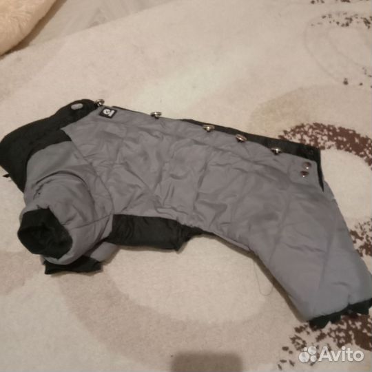 Осенне-зимний комбинезон для собак