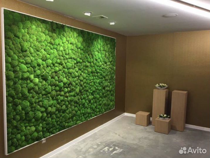 Панно из стабилизированного мха