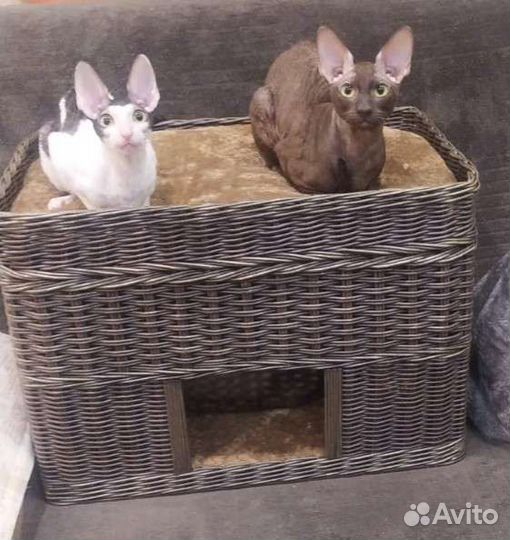 Домик для кошки