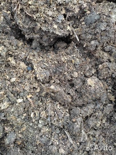 Помет куриный