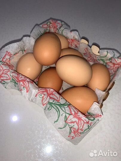 Домашние куриные яйца
