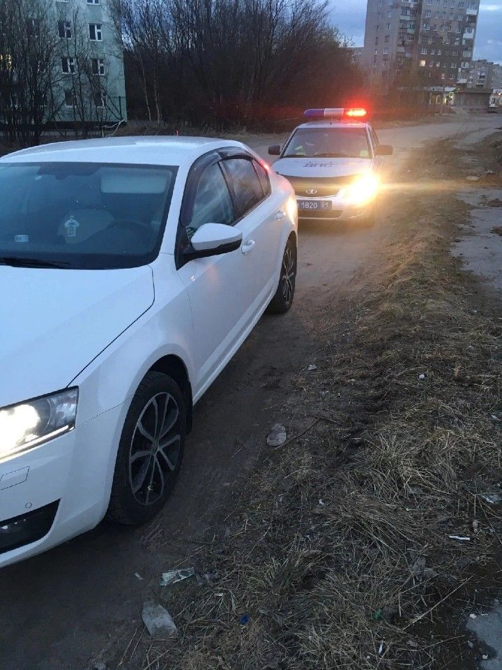 Skoda Octavia: фото владельца