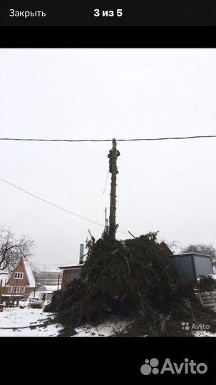 Спил аварийных деревьев