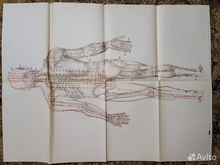 Гаваа Лувсан. Традиционные и современные аспекты в