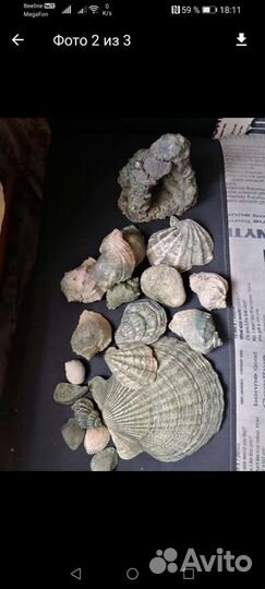 Для аквариума