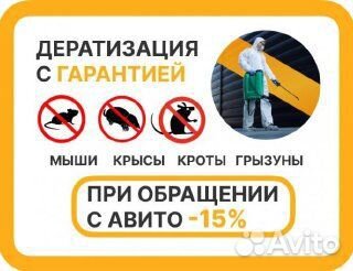 Дезинсекция, клопов, тараканов, блох, дезинфекция