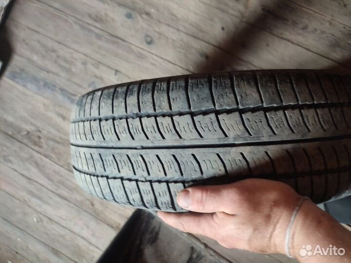 Michelin Ivalo 65