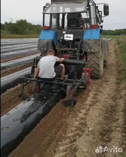 Грядообразователь, 2023