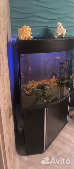 Аквариум aquael 350L