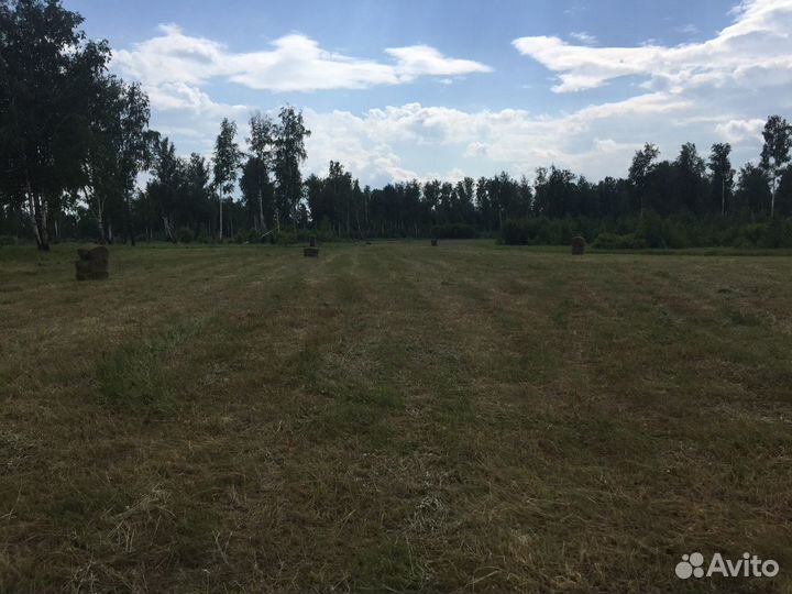 Сено в тюках и рулоны