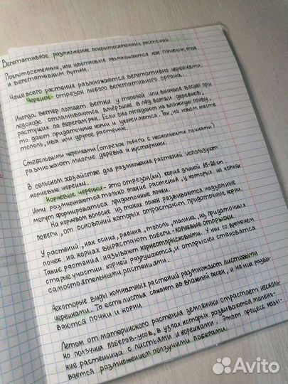Пишу конспекты, лекции
