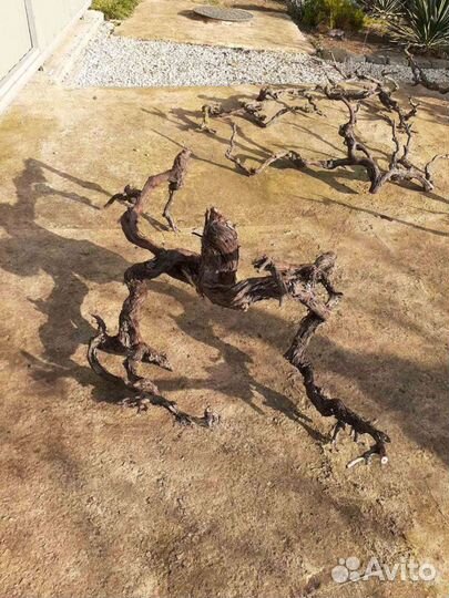 Коряги для аквариумов,террариумов