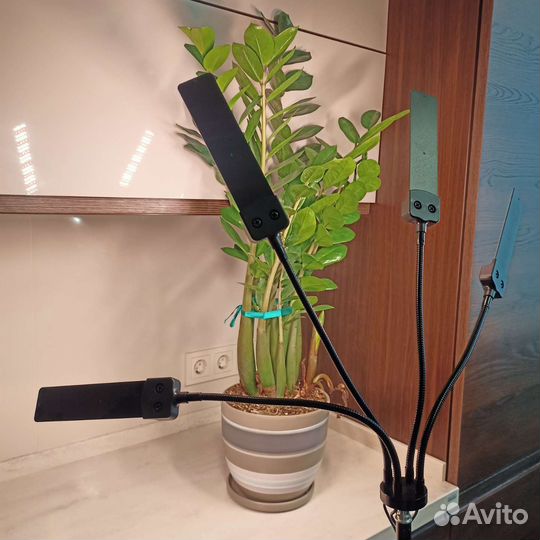 Фитолампа для растений полный спектр